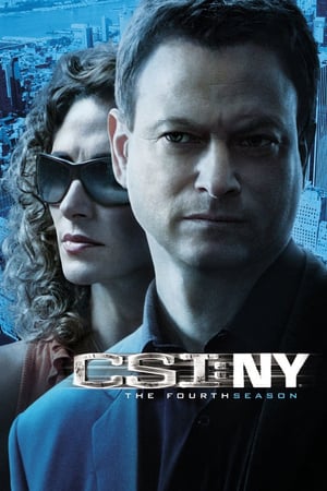 CSI: NY 4