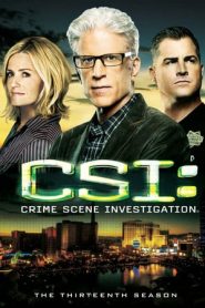 CSI – Scena del crimine 13