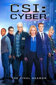 CSI: Cyber 2