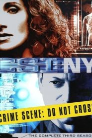 CSI: NY 3