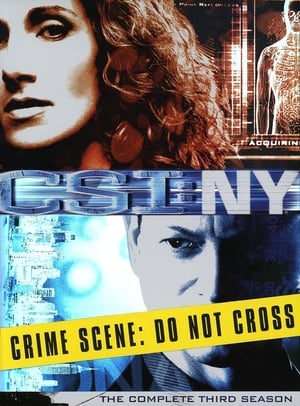 CSI: NY 3