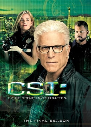 CSI – Scena del crimine 15