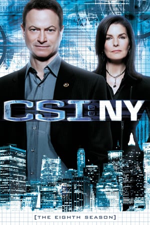 CSI: NY 8