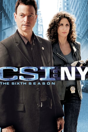 CSI: NY 6