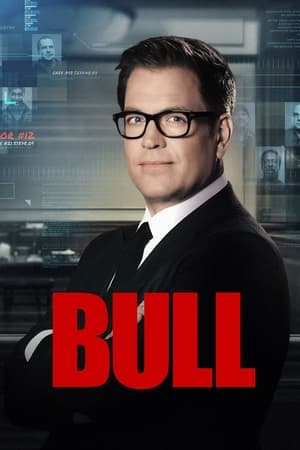 Bull 6