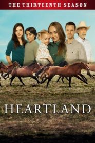 Heartland 13