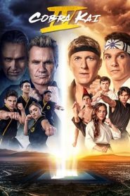 Cobra Kai 4