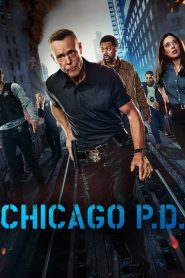 Chicago P.D. 12